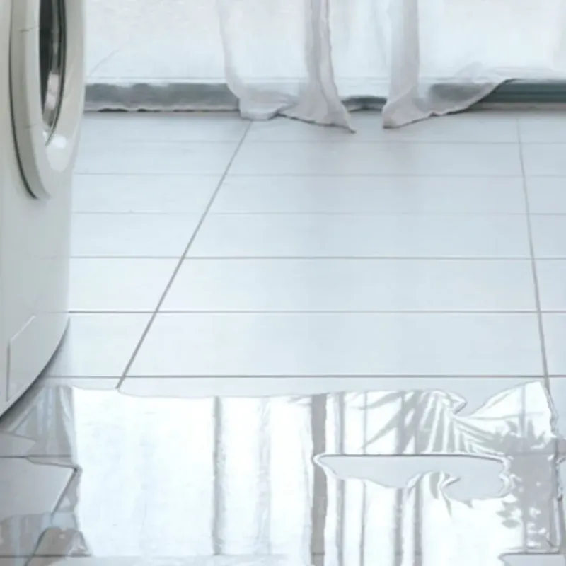 Appliance Leak Cleanup in Roselle, IL