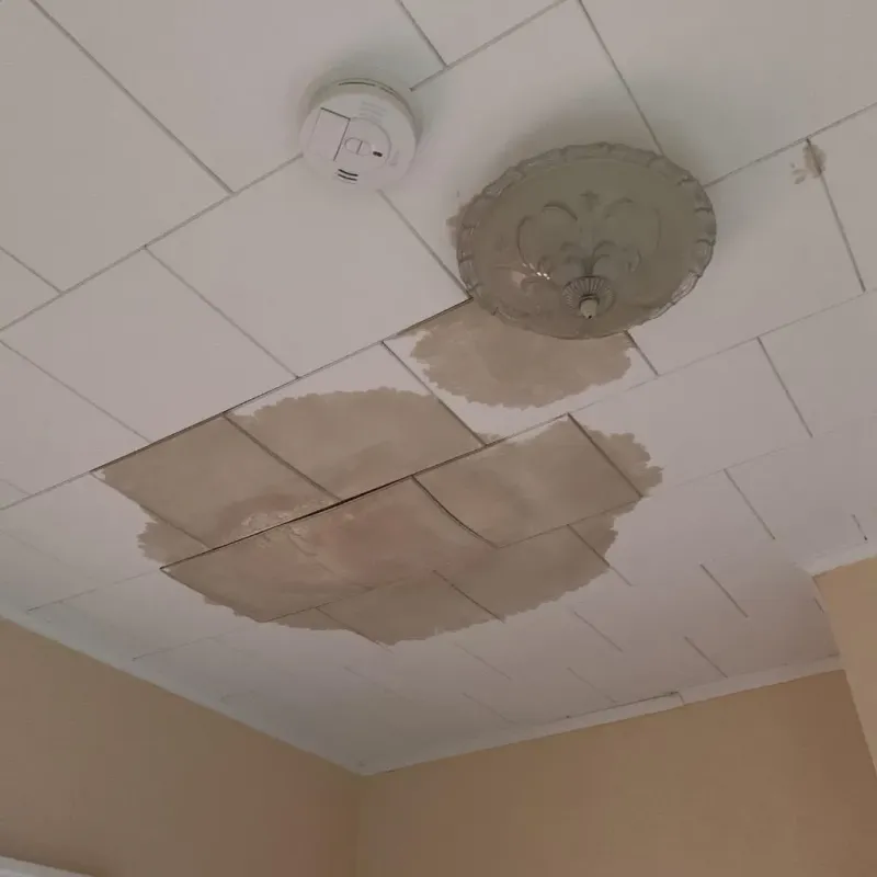Ceiling Water Damage Repair in Roselle, IL