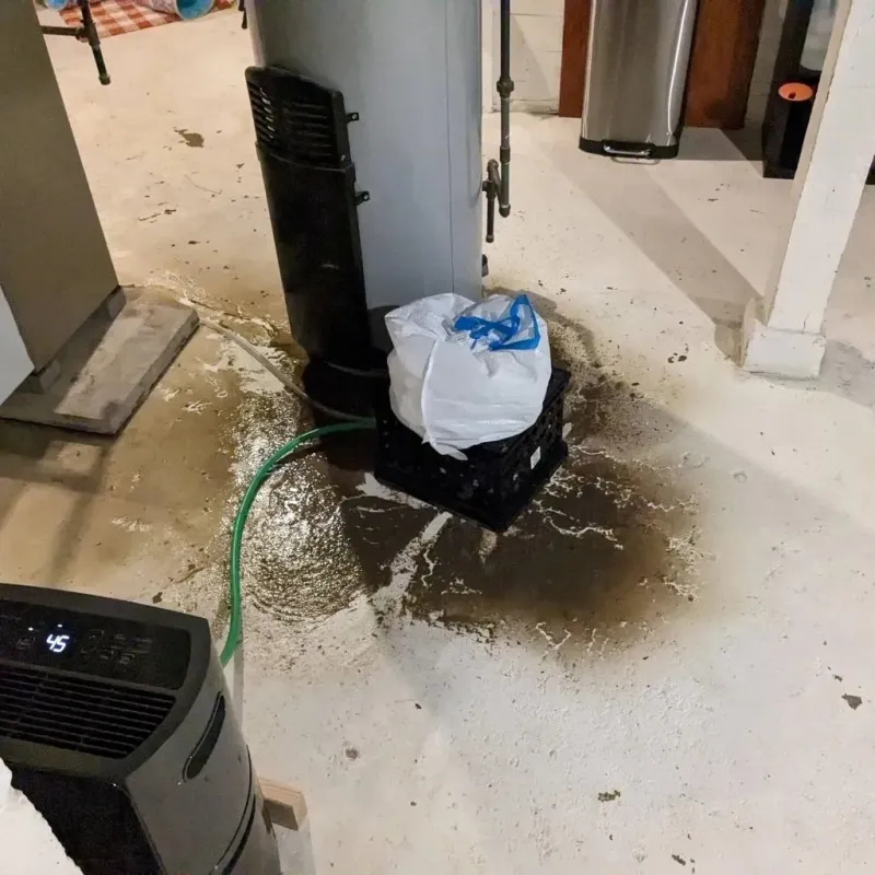 Sewage Backup Cleanup Service in Roselle, IL